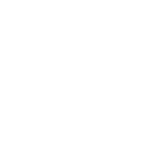 Puzzle icon