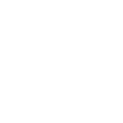 Puzzle icon