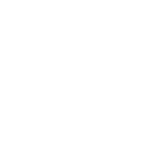 Box icon