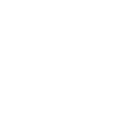 Puzzle icon
